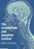 The Cerebellum and Adaptive Control