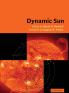 Dynamic Sun
