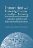 Innovation and Knowledge Creation in an Open Economy