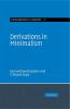 Derivations in Minimalism
