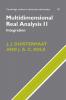 Multidimensional Real Analysis II