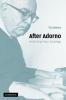After Adorno