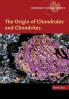 The Origin of Chondrules and Chondrites