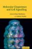 Molecular Chaperones and Cell Signalling