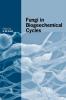 Fungi in Biogeochemical Cycles