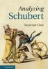 Analyzing Schubert