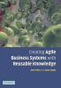 Creating Agile Business Systems with Reusable Knowledge