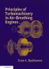 The Emergence of Meaning