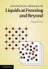 Statistical Physics of Liquids at Freezing and Beyond