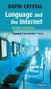 Language and the Internet