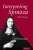 Interpreting Spinoza