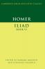 Iliad Book 6