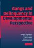 Gang Delinquency Develop Perspectve