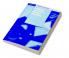 Language Learning in Distance Education