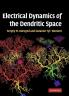 Electrical Dynamics of the Dendritic Space