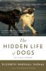 Hidden Life of Dogs The