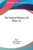 The Natural History Of Pliny V4