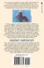 Dolphin Chronicles