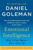 Emotional Intelligence Why It Can Matter More Than IQ