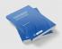 Accounting Irregularities in Financial Statements