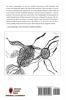 The Audiographic As Data