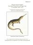 Nikolaus Michael Oppel's Drawings Watercolors and Engravings 3. Crocodiles (1807-1817)