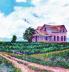 Prairie Paintings: Scenes from the Midwest