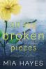 All The Broken Pieces: 2 (Waterford Novel)