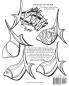 Fish Out of Water: An Undersea Coloring Book