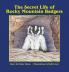 The Secret Life of Rocky Mountain Badgers