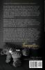Forgotten: Living in the Shadows of Domestic Violence