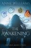 The Awakening: 1 (The Soul Magic)