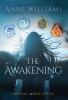 The Awakening: 1 (The Soul Magic)