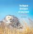The Magical Bird Beach of Long Island in Winter: A Children's Rhyming Picture Book About the Snowy Owl and Other Winter Birds: 2
