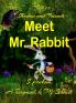 Shadow and Friends  Meet Mr. Rabbit