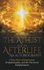 The Atheist and the Afterlife - an Autobiography: A True Story of Inspiration Transformation and the Pursuit of Enlightenment: 1 (Ray Catania's Awakening)