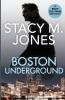 Boston Underground: 5 (Riley Sullivan Mystery)
