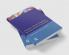 Primary School Teaching and Educational Psychology