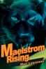 Maelstrom Rising