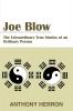 Joe Blow: The Extraordinary True Stories of an Ordinary Person