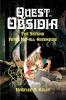 Quest to Obsidia