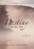 Destiny in the Fog
