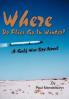 Where Do Flies Go In Winter?: A Gulf War Spy Novel
