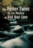 The Foster Twins In The Mystery at Red Bud Cove
