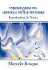 Understanding 99% of Artificial Neural Networks