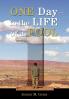 One Day In The Life Of A Fool