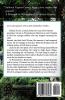 A Stranger in Wynnedower: A Virginia Country Roads Novel