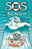 SOS Big Splash
