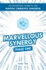 Marvellous Synergy