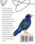 Fauna: A colouring book for the truly wild